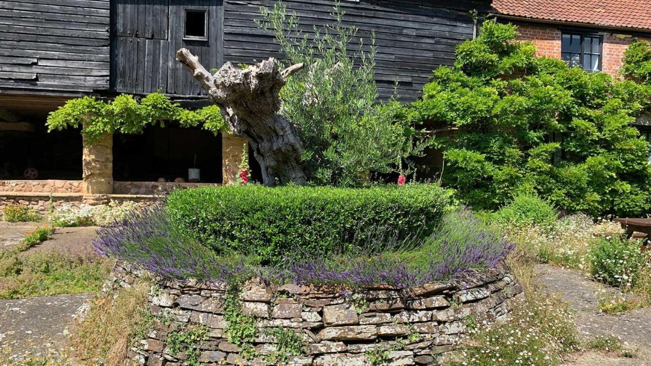 Shippen Cottage - Perfect For Couples Or Families Sidmouth Exterior foto